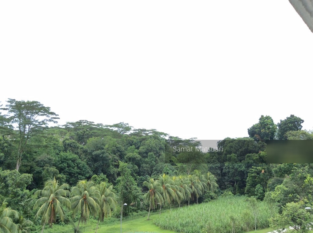 Blk 118 Clementi Street 13 (Clementi), HDB 4 Rooms #121614262